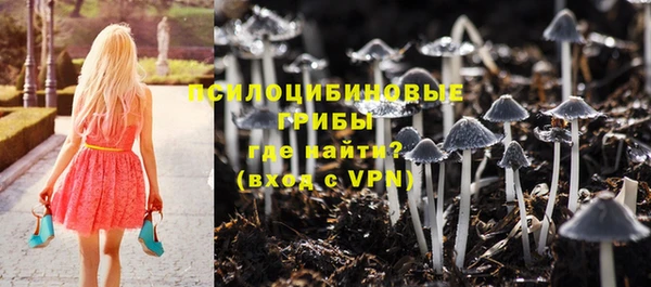 герыч Абаза