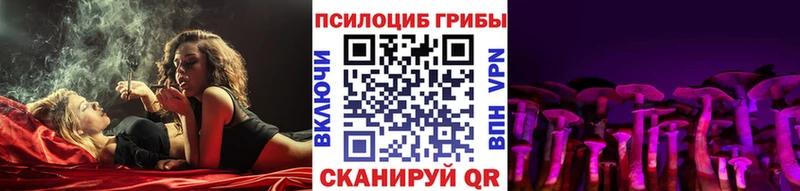 Псилоцибиновые грибы GOLDEN TEACHER  Терек 